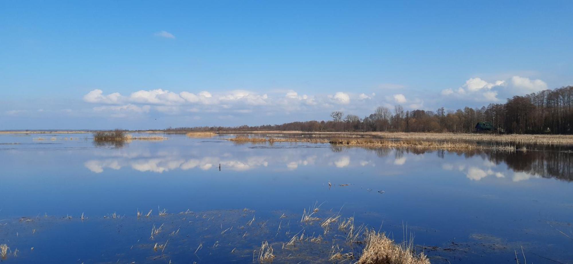 Noclegi Nad Biebrza Stara Szkola Wrocen Bagian luar foto