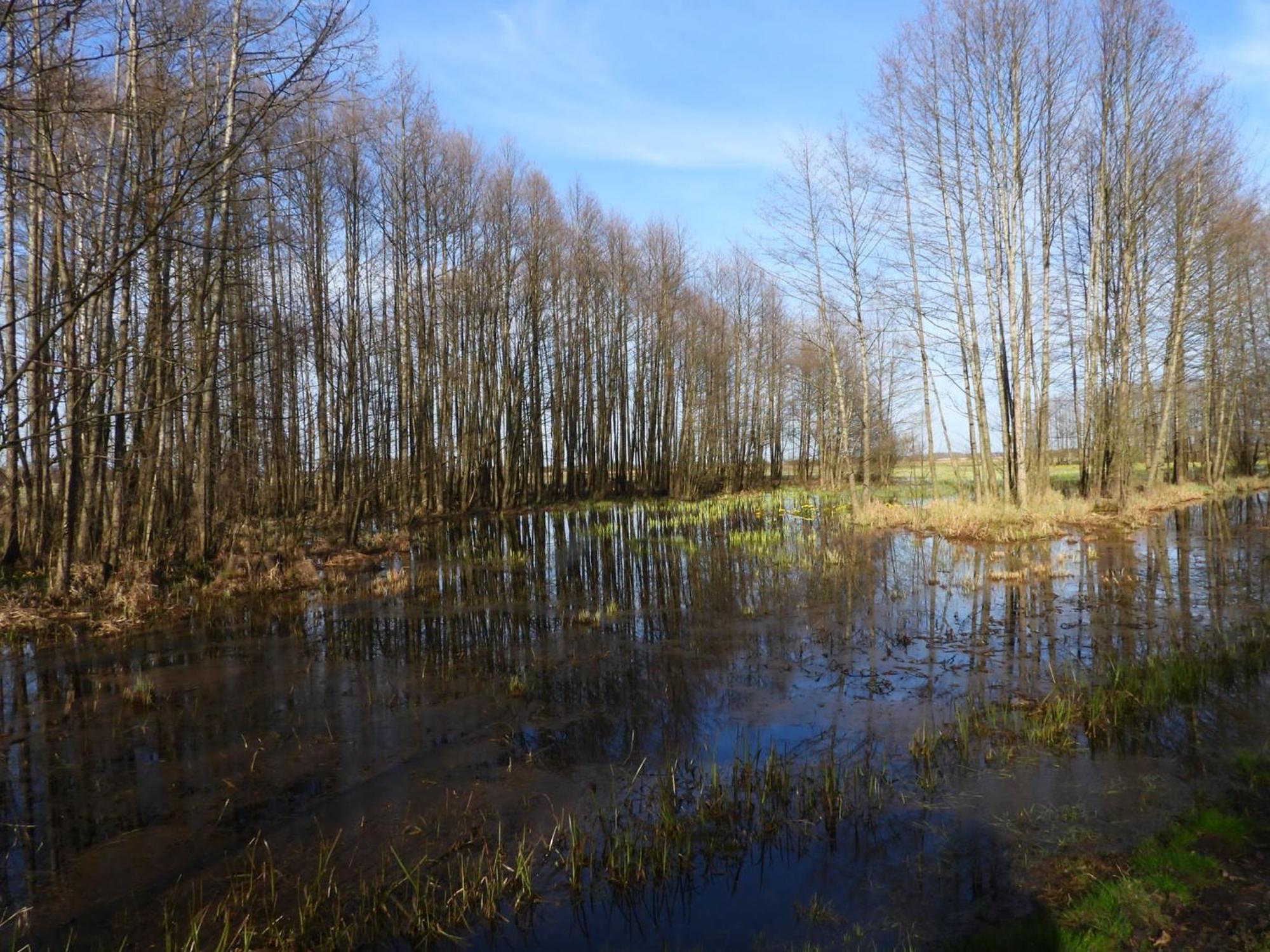 Noclegi Nad Biebrza Stara Szkola Wrocen Bagian luar foto
