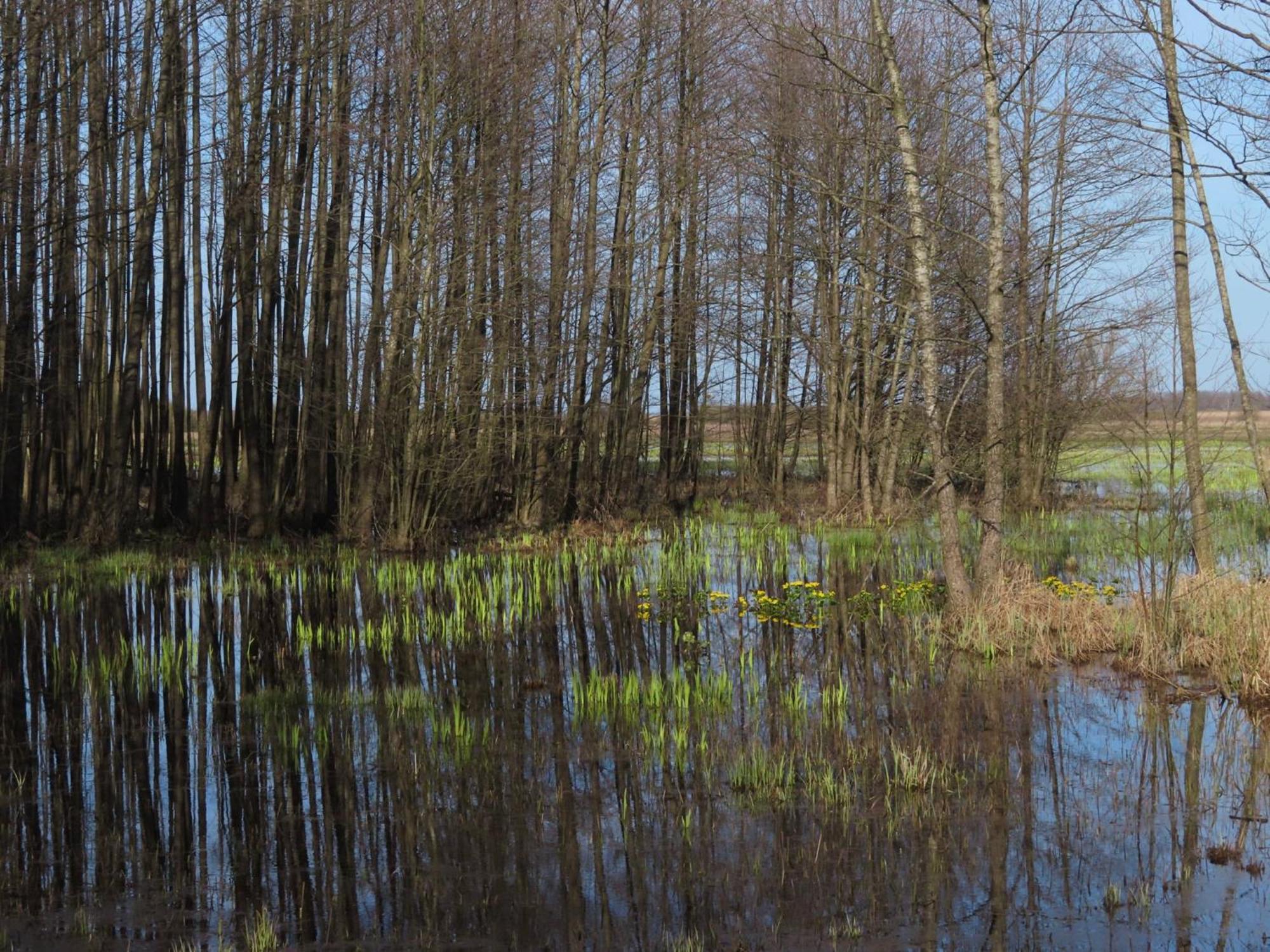 Noclegi Nad Biebrza Stara Szkola Wrocen Bagian luar foto